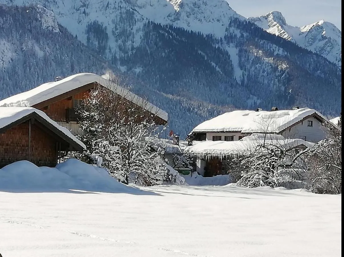 Apartment Ferienwohnung Anna Inzell